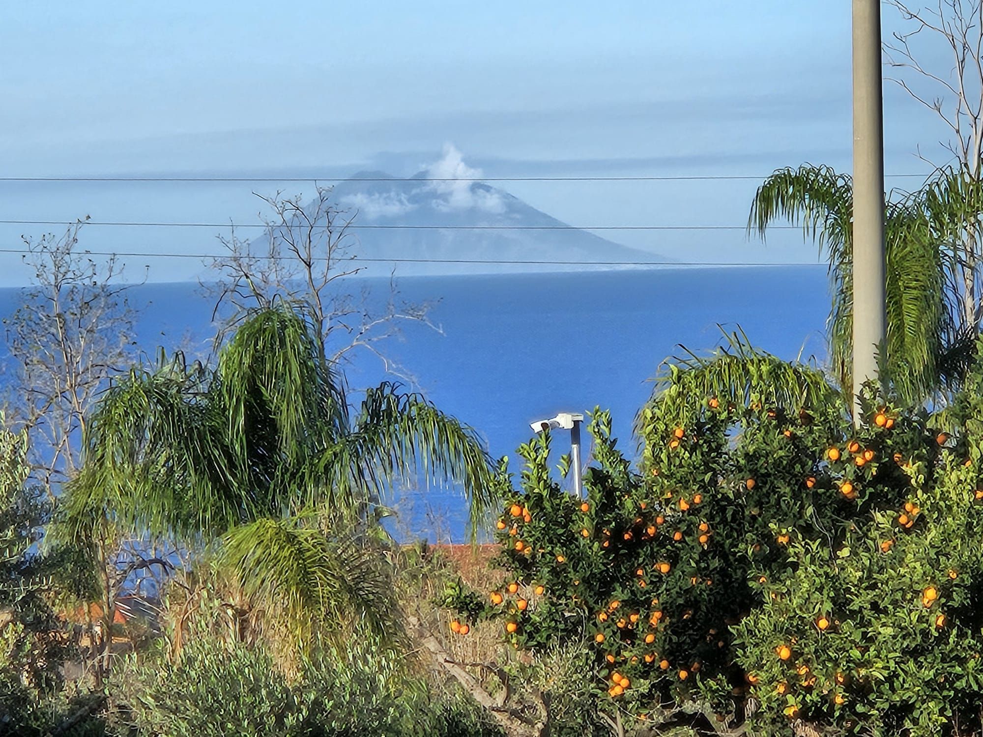 5f8c272b 96bd 42d8 b818 6440dc829313